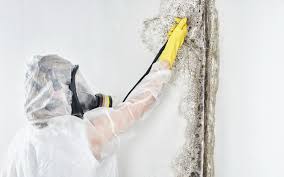 Best Air Quality Testing for Mold Spores  in Lincoln Beach, OR